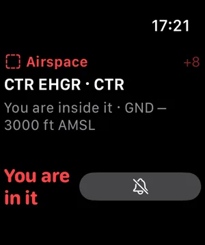 AeroVue's flight screen on an Apple Watch